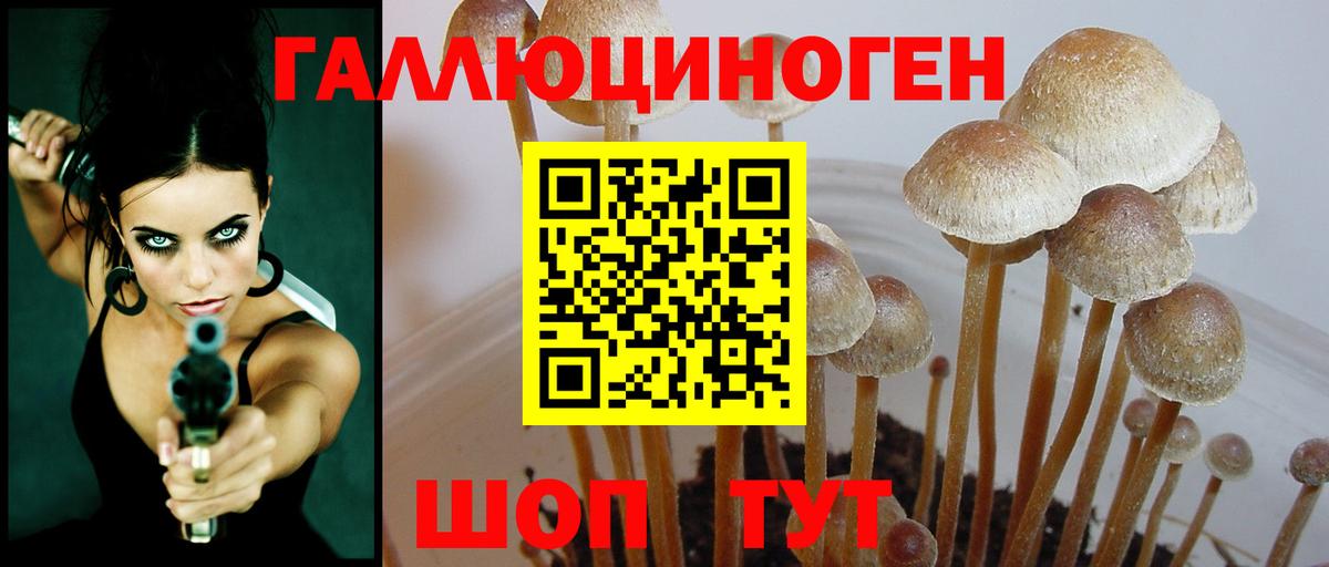 Галлюциногенные грибы Cubensis  Галлюциногенные грибы Magic Shrooms  Вход с VPN  наркотики  Краснокаменск 